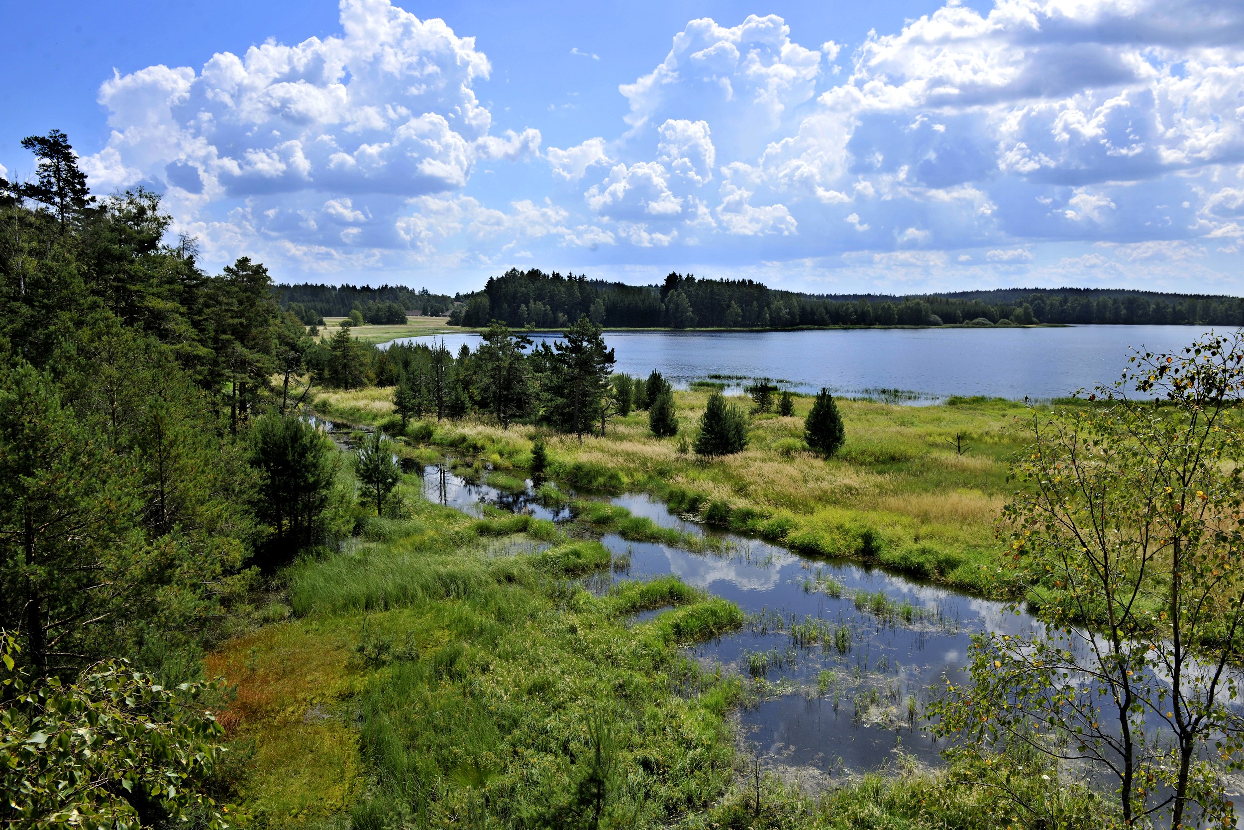 Naturpark Heidenreichsteiner Moor I Naturerlebnisse im Waldviertel